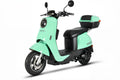 Merona Electric Scooter