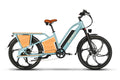 E-Haul Pro Ebike