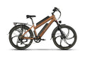Monta Dual Ebike