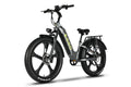 Vegar Pro Ebike