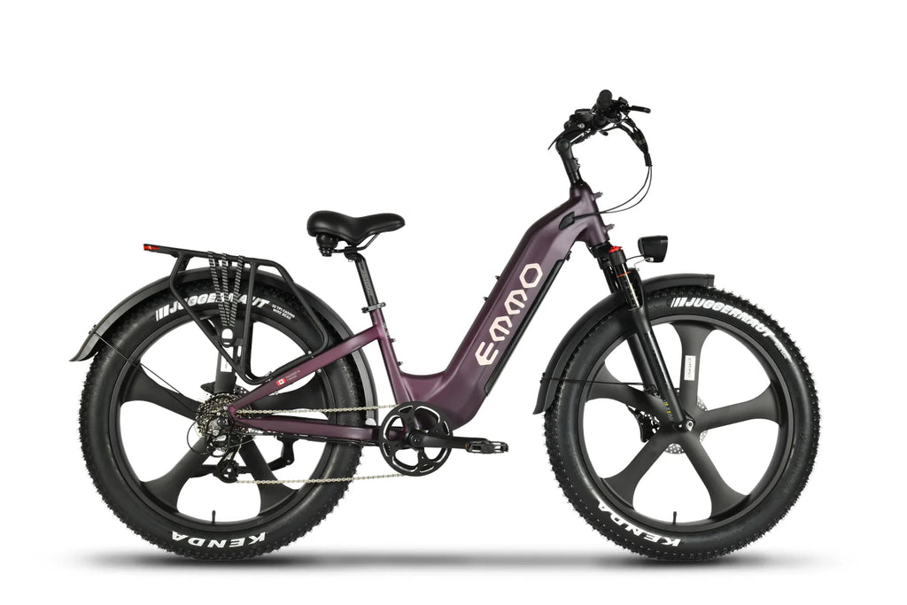 Vegar Pro Ebike